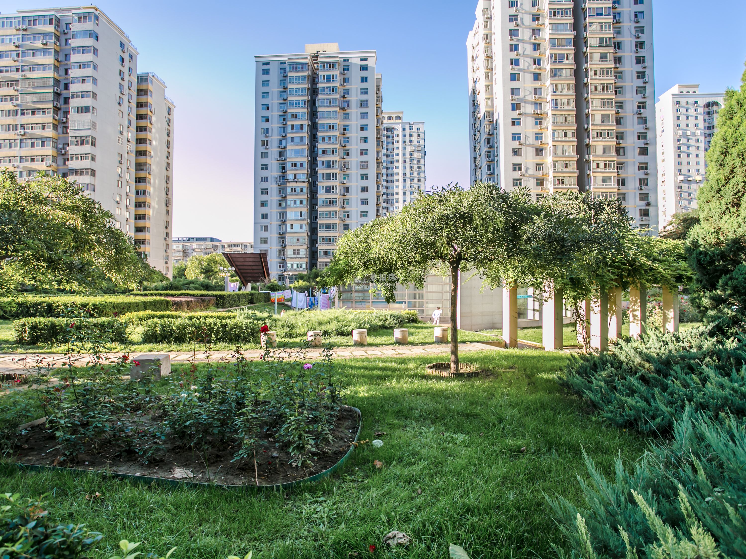 旺座中心公寓1号楼11层1116号