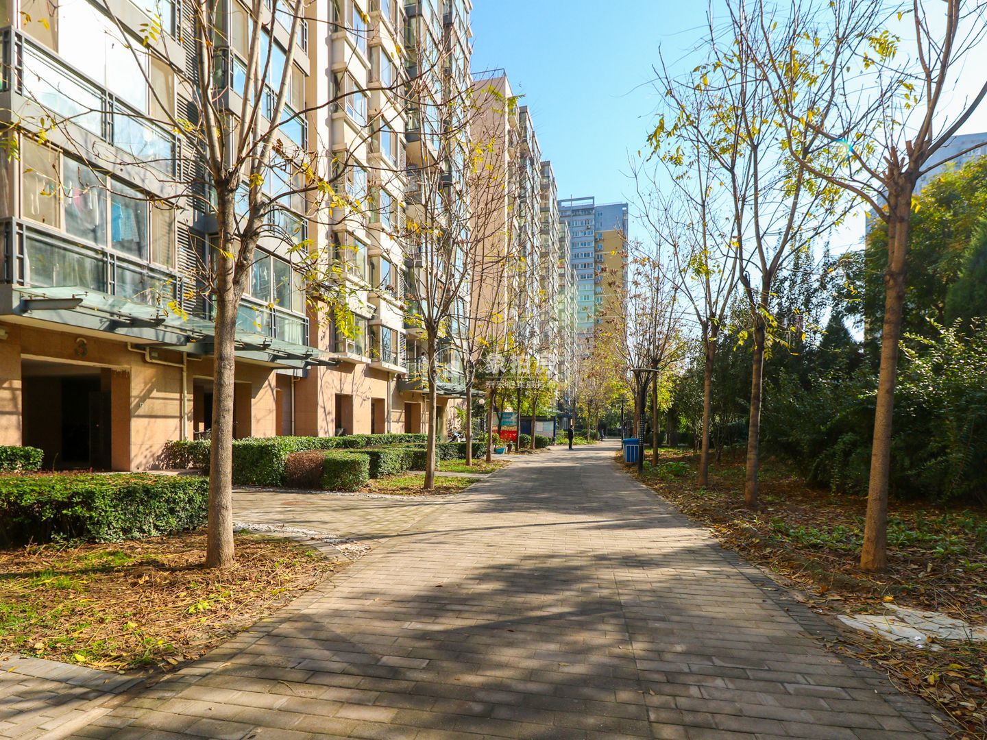 甜水园东里39号楼4层3门401号