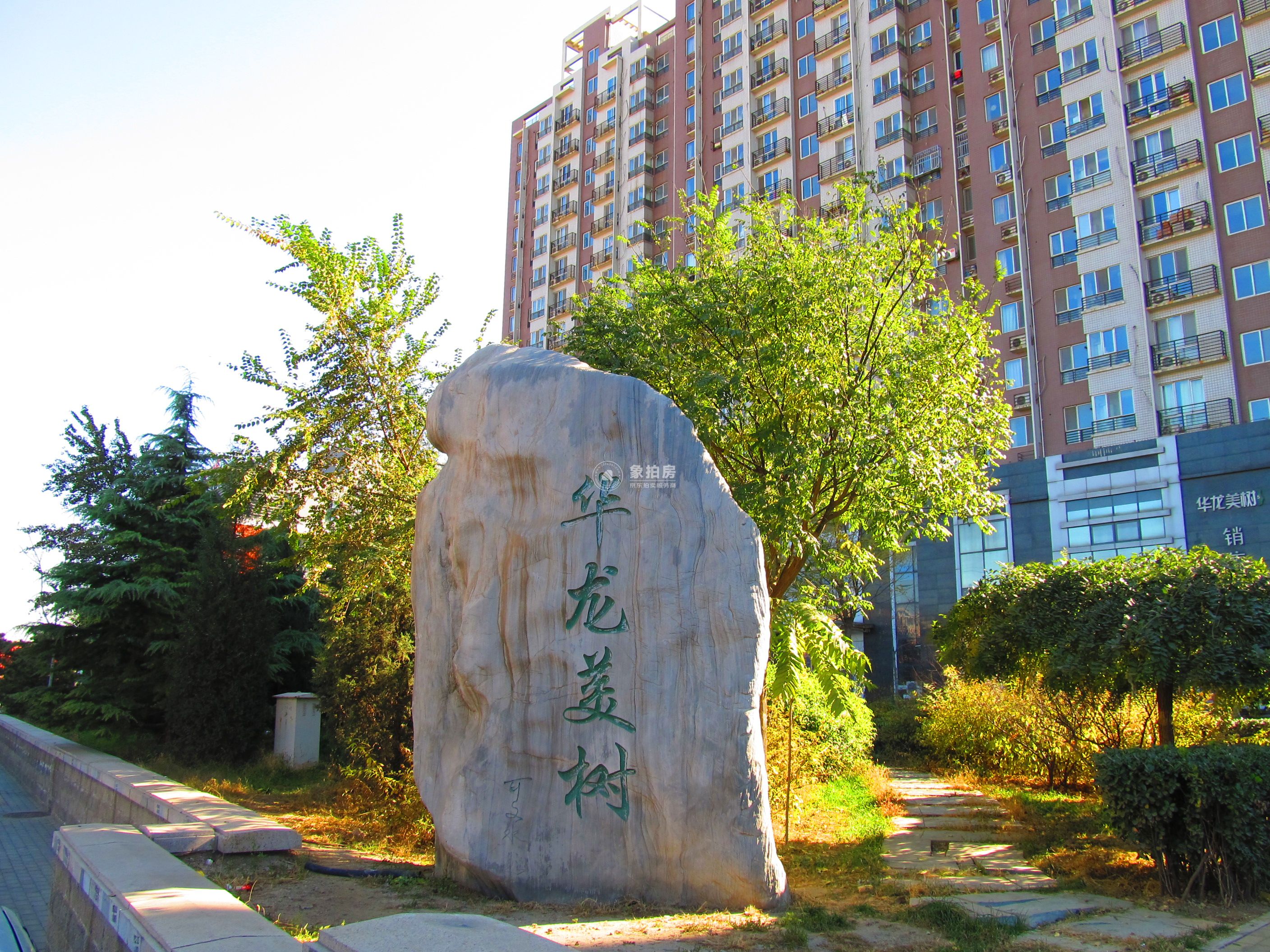 华龙美树15号-1层