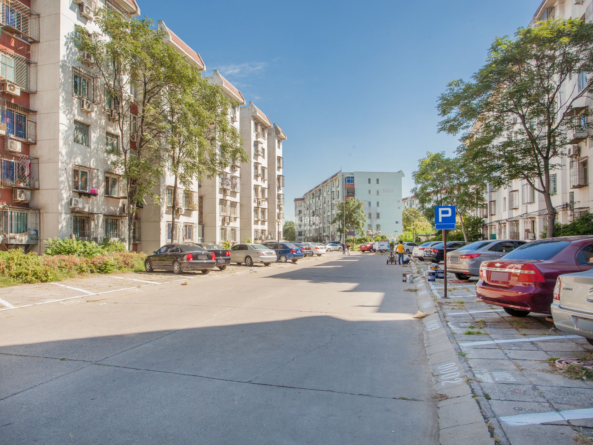 晓月苑一里11号楼5层八单元504号