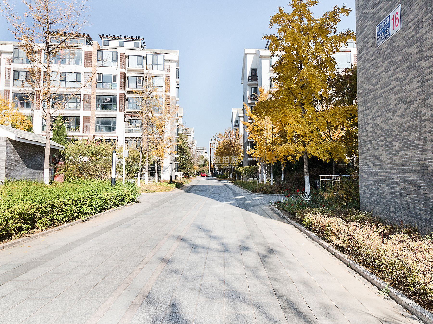 汤泉墅4号楼2层3单元202号