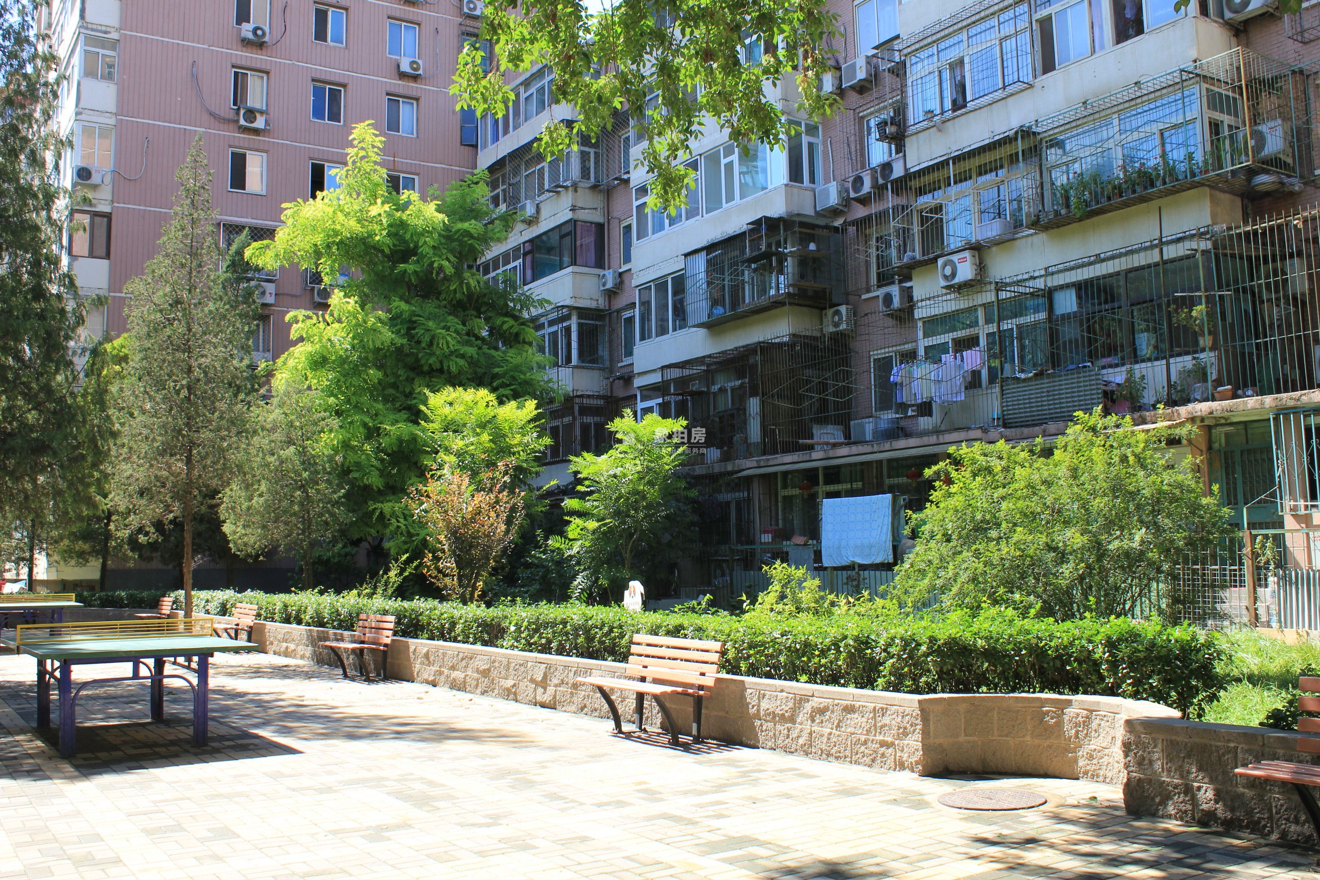 西青年沟5号楼4层3门403号