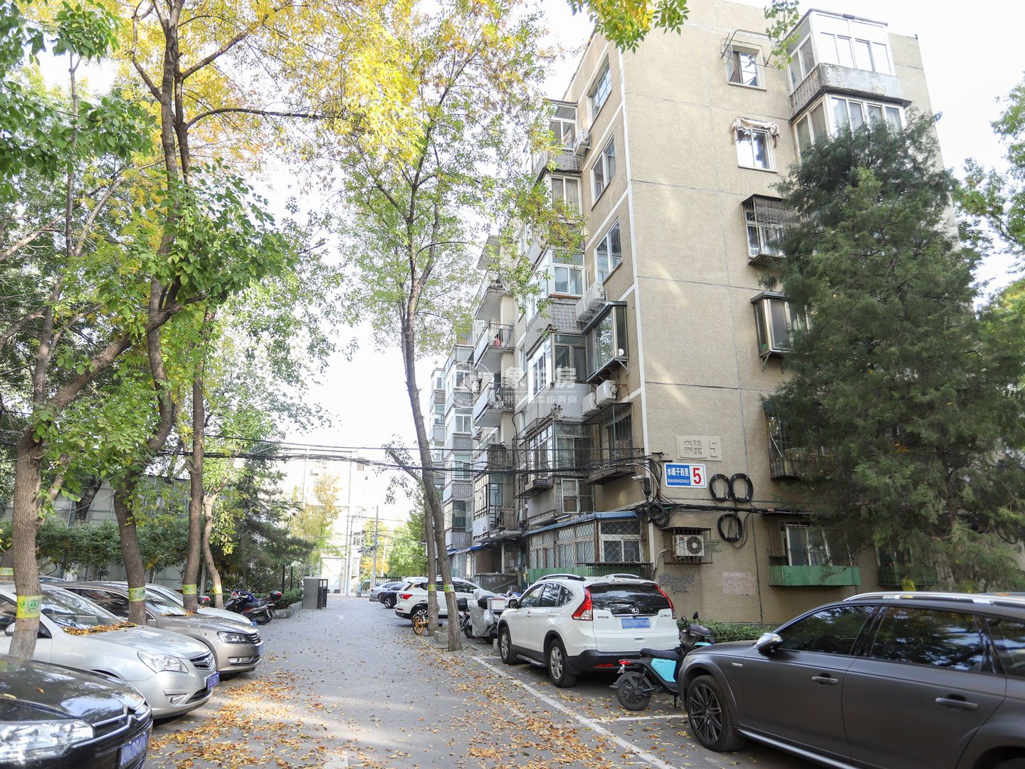 水碓子西里13号楼1层104号