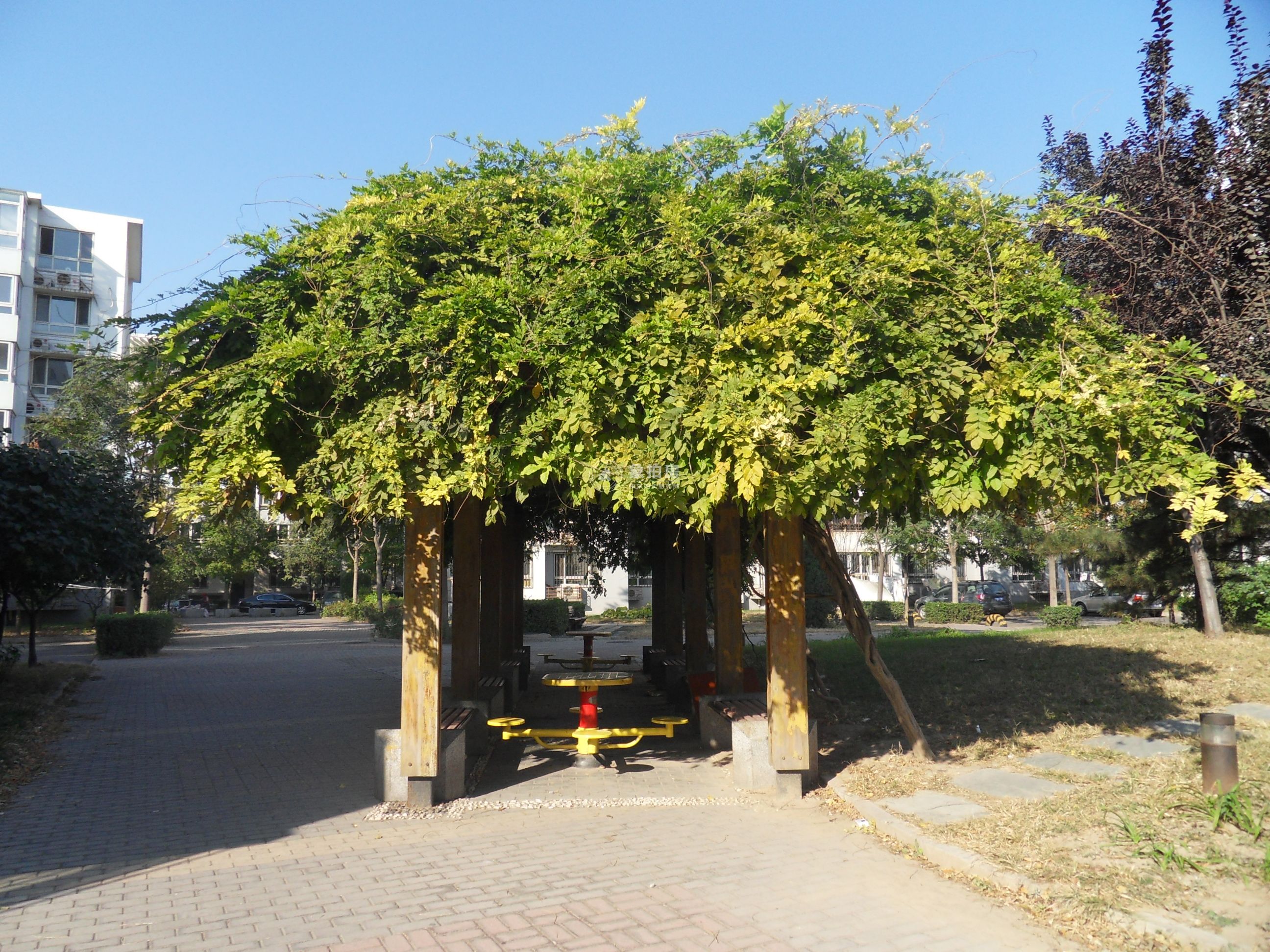 龙禧苑二区18号楼2层2单元202号