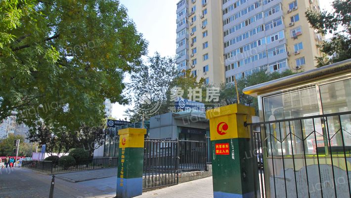 和平西街1号楼8层807号