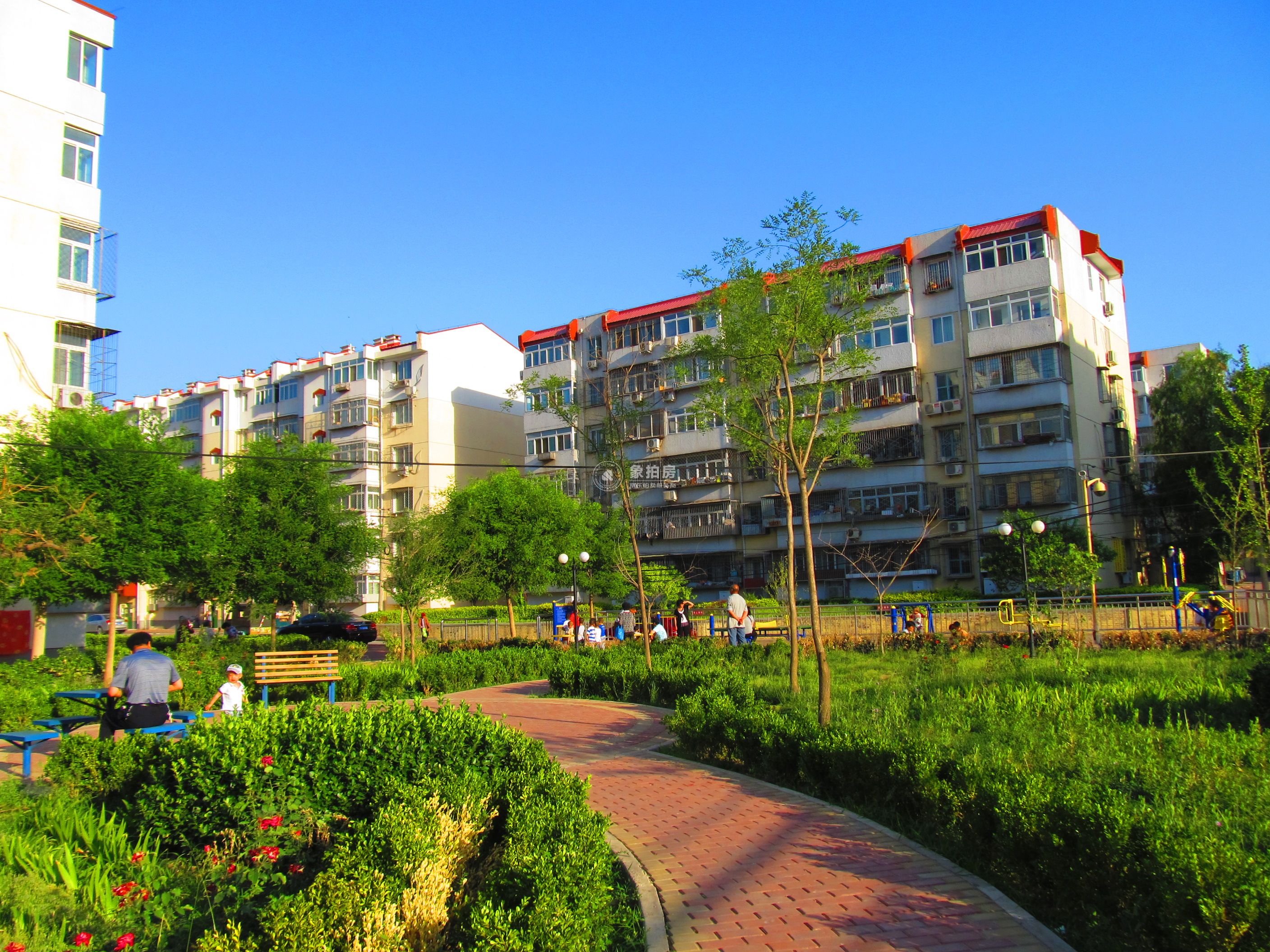 双兴南区5号楼1层一单元101号