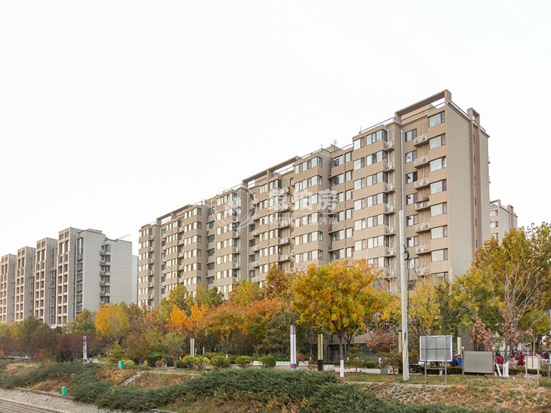 和悦居6号院3号楼3层3单元303号
