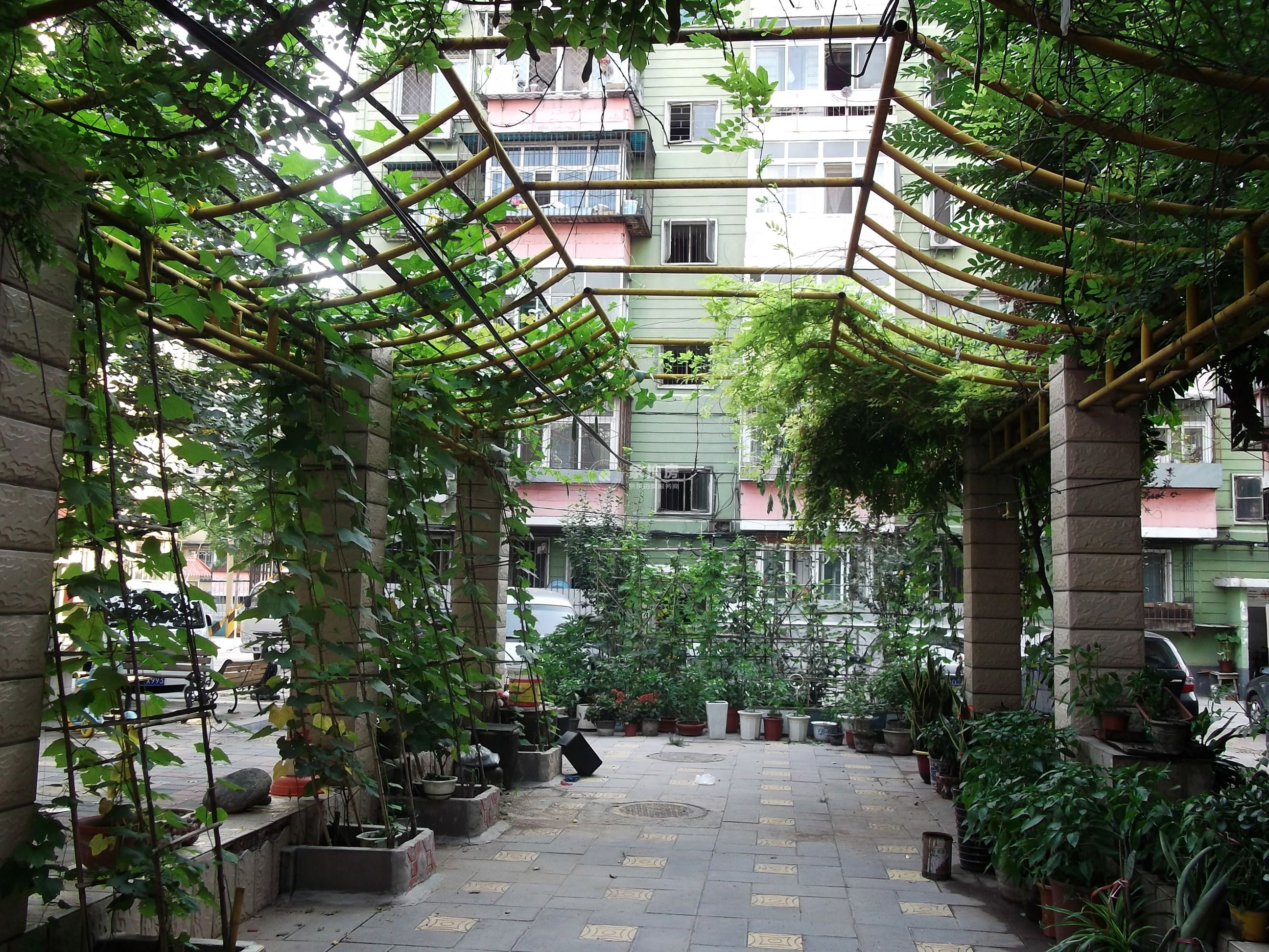 苹果园小区四区6号楼6层2单元23号