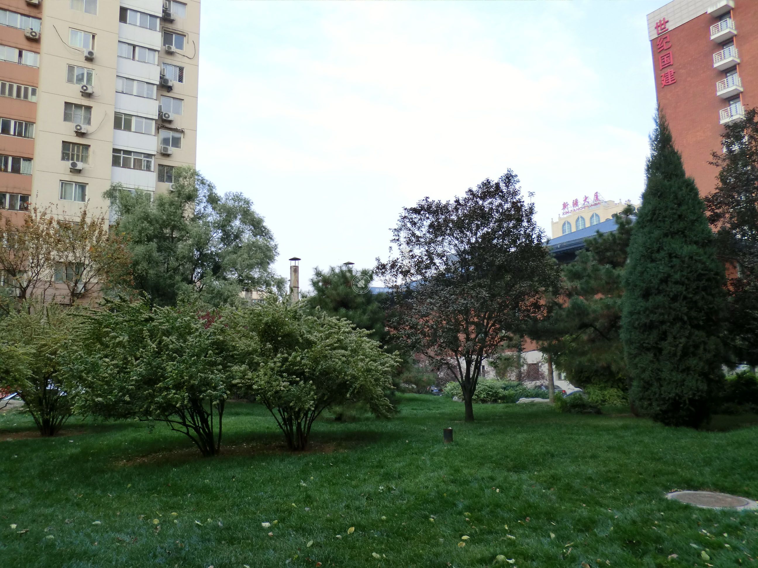 清缘里中区2号楼8层5门521号