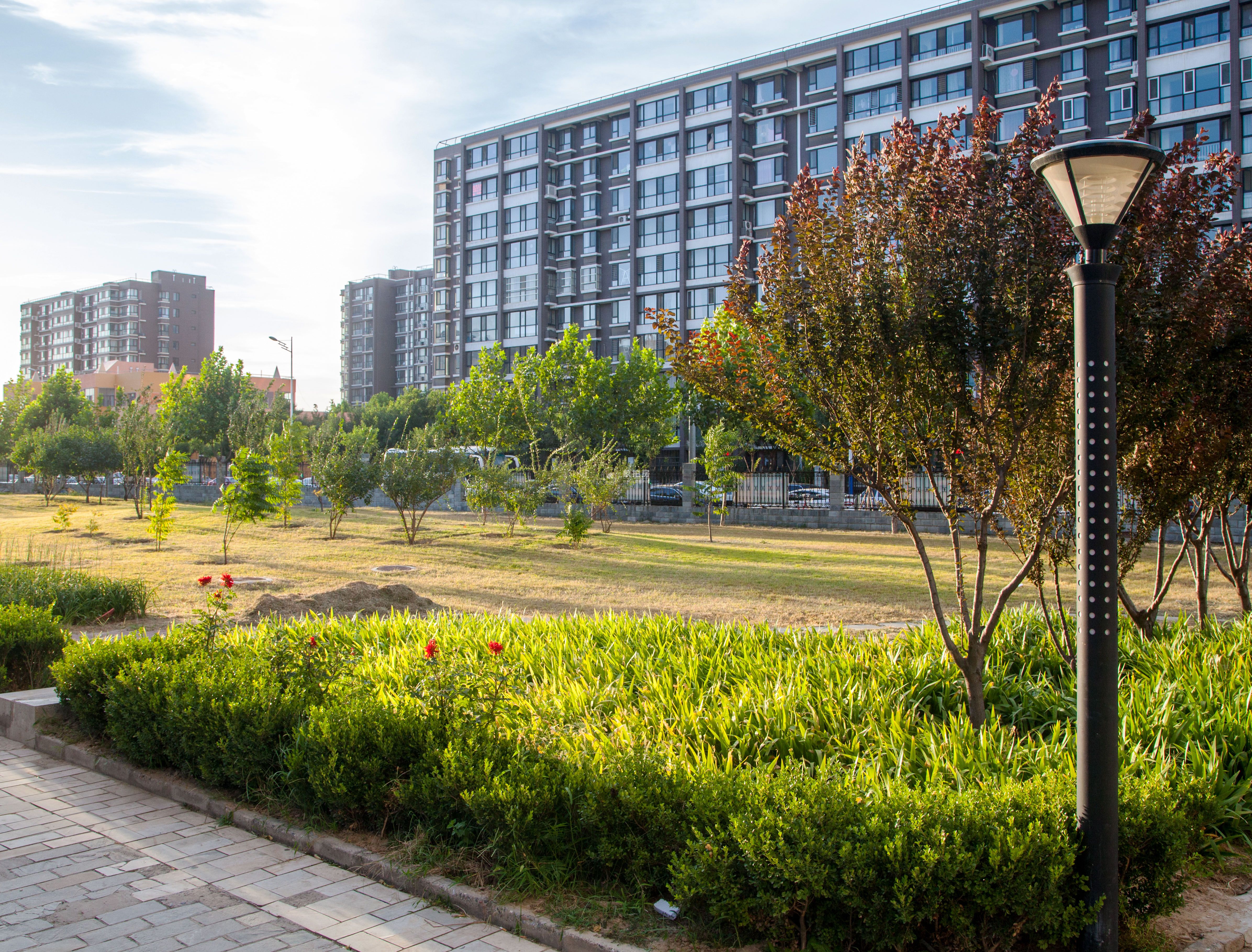 天通苑中苑56号楼20层2004号