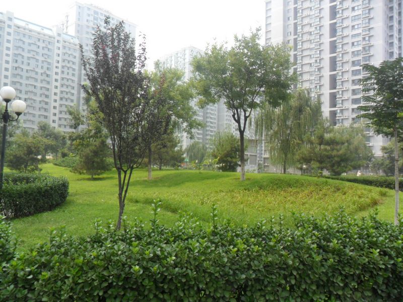 北苑家园茉藜园7号楼16层1605号