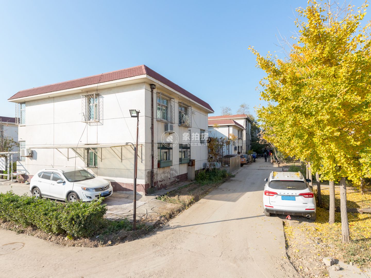 林校中里5号楼3层301号