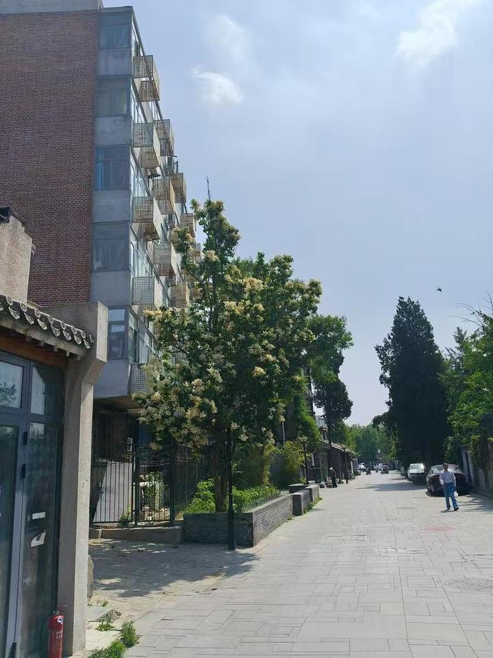 西打磨厂街157号2单元202