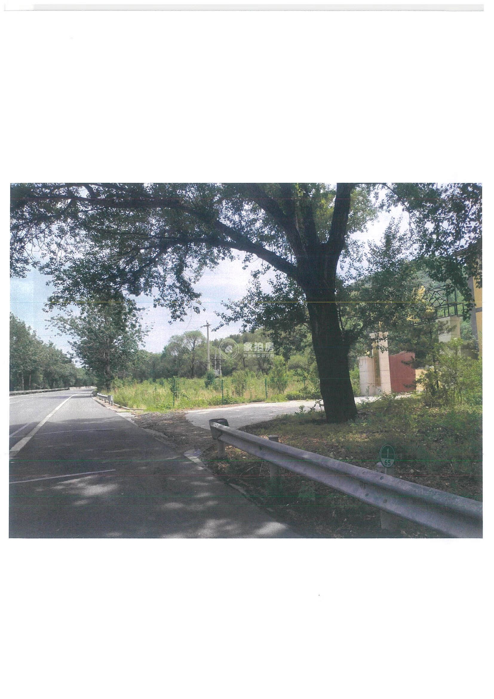 井庄镇二道河村西北、西北、东北三处土地使用权及不动产（详见公告）