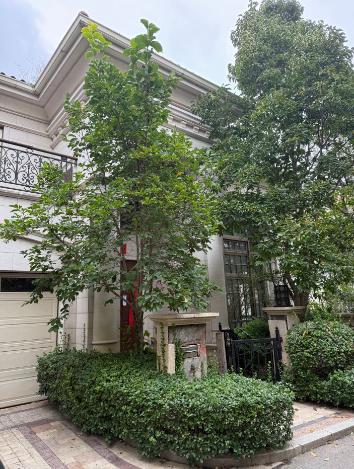 泰禾中国院子普欣南里177号B27号