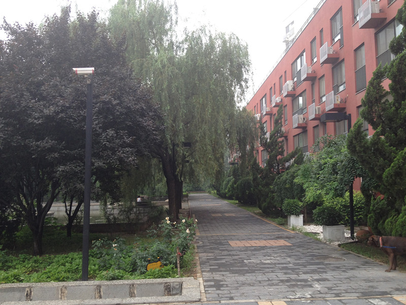 北京印象2号楼9层902号