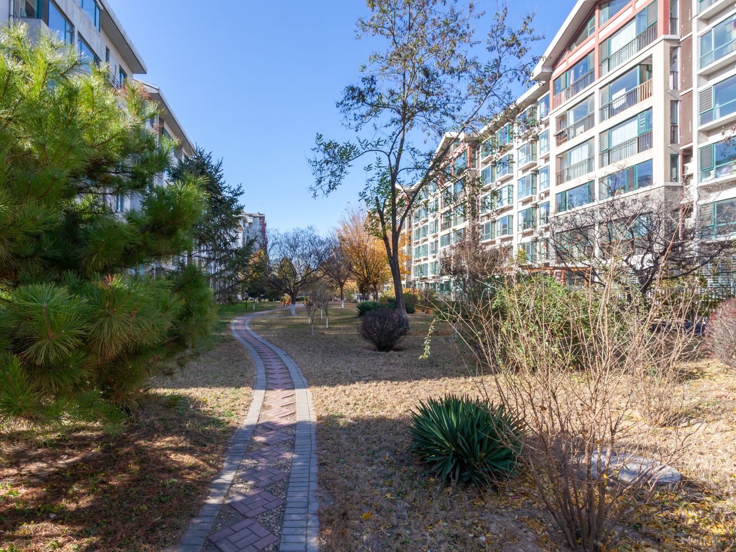 腾龙家园一区18号楼6层3单元601号