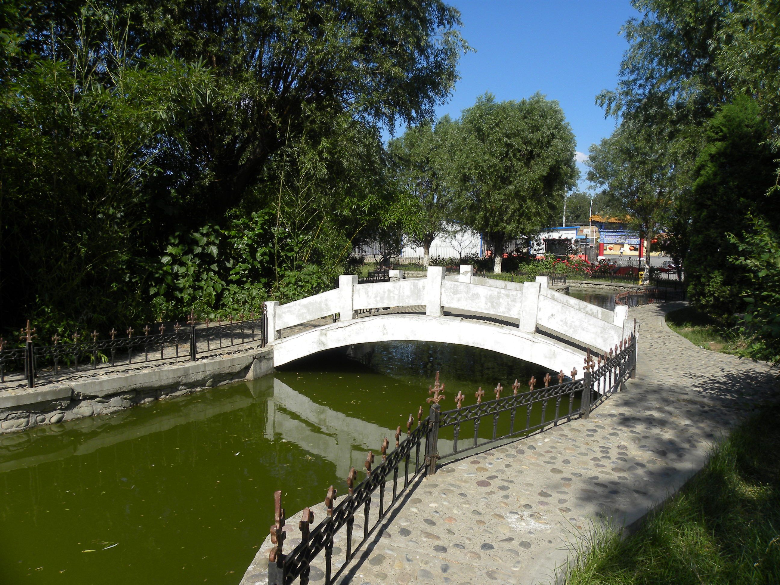 金鑫苑1号楼3层4单元301号