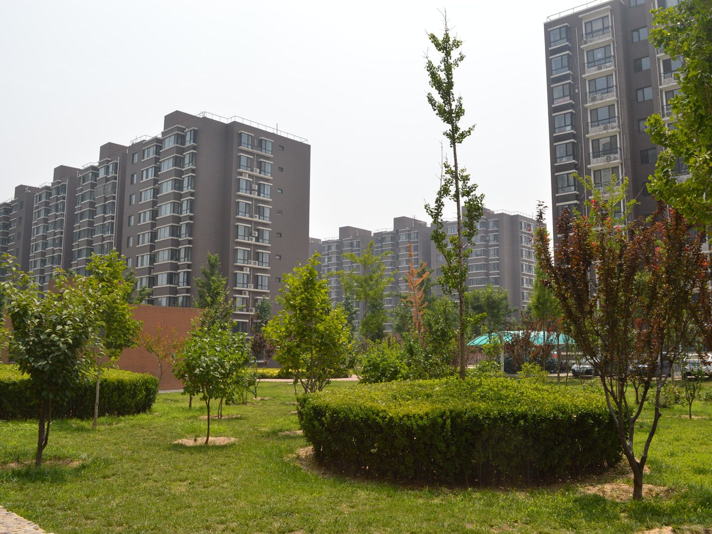 佳世苑小区22号楼-1-1层