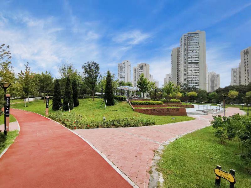 望京西园三区 321号楼11层1102号