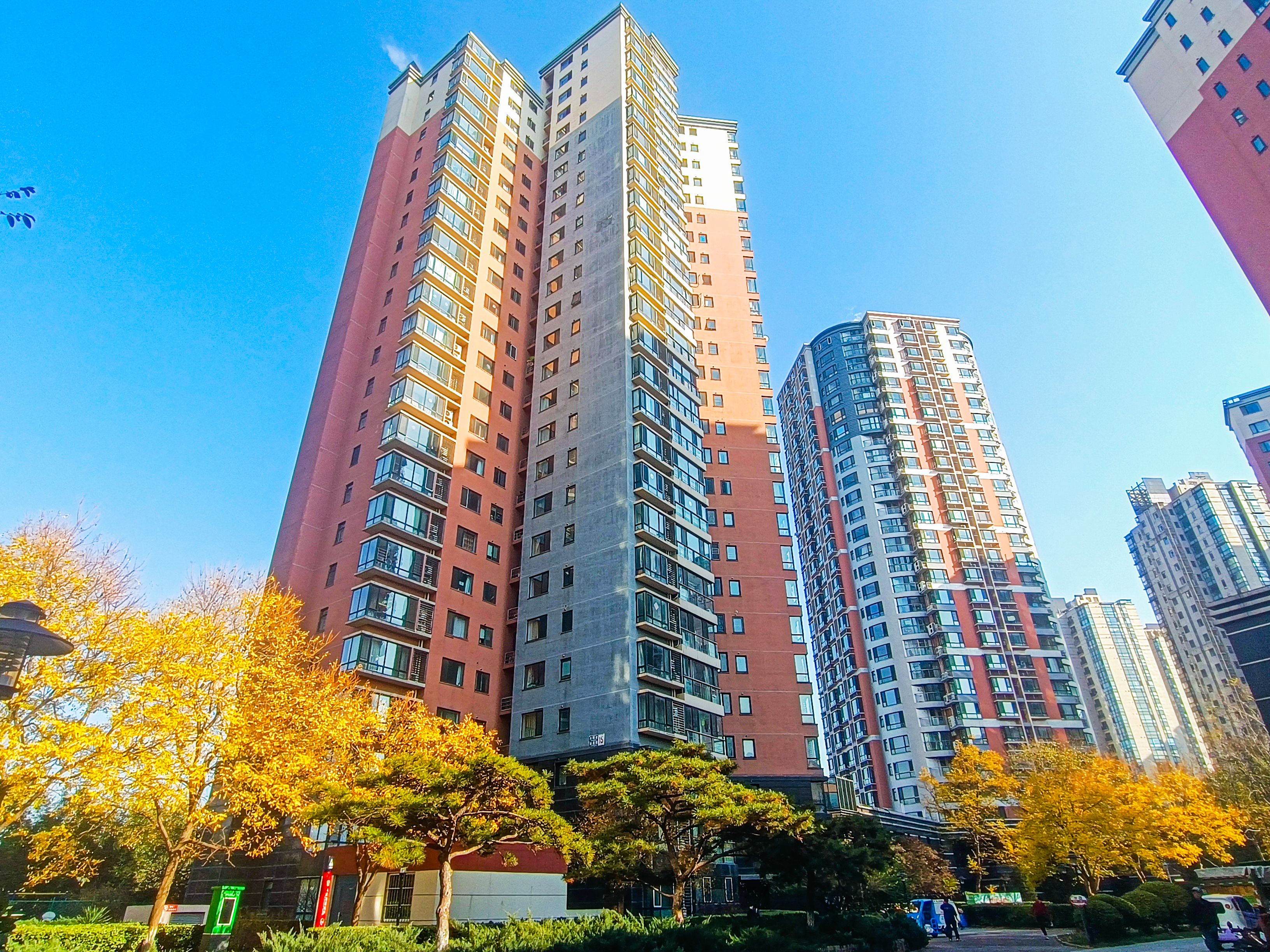 金星园 15号楼11层1115号