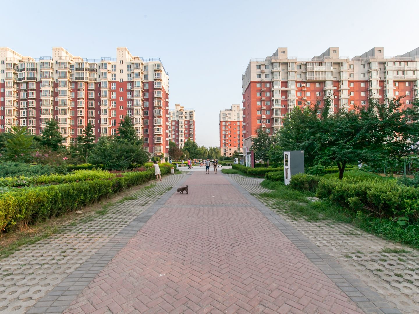 蓝海苑 6号1层4单元102号