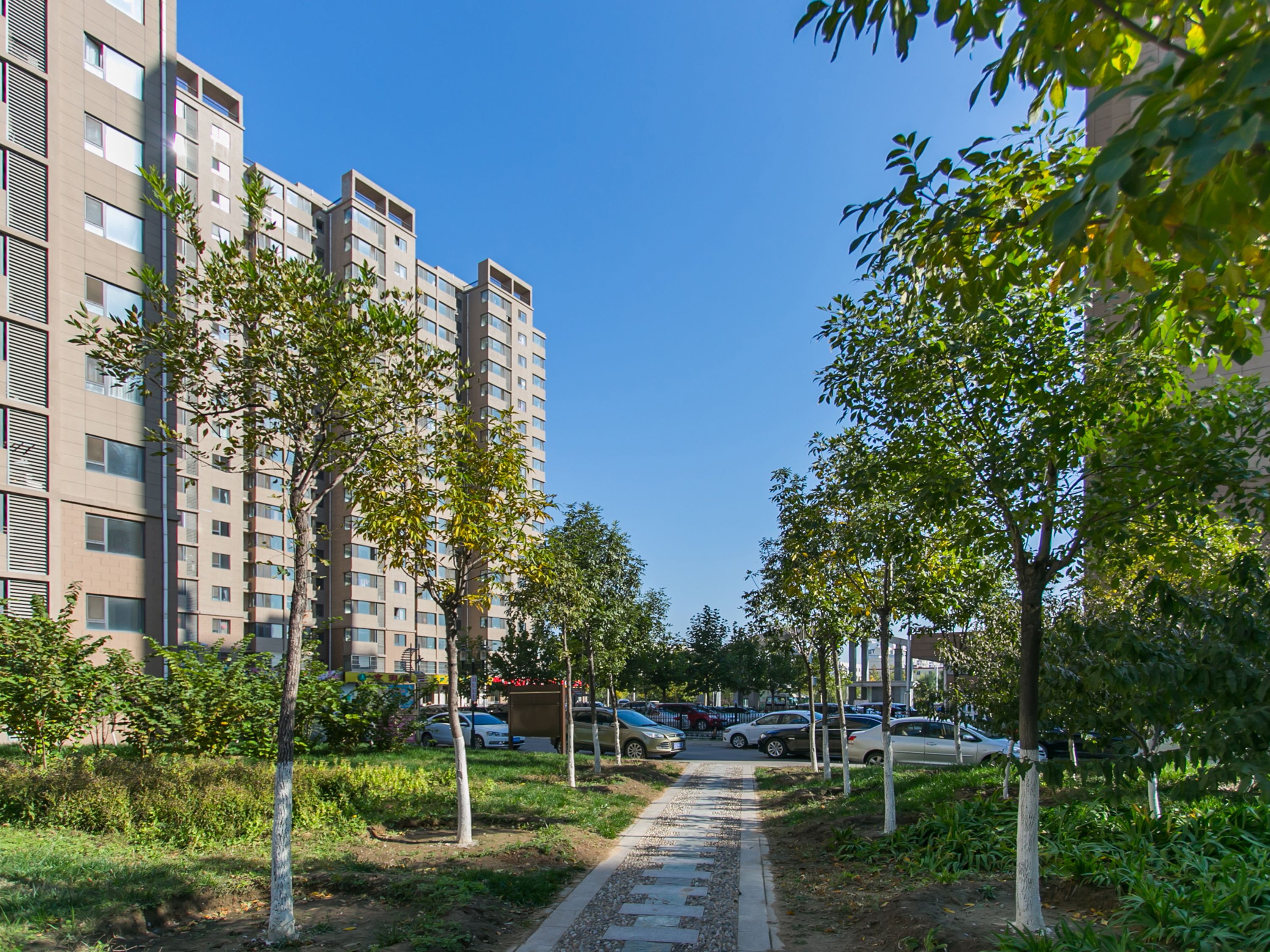 北京市大兴区旧桥路12号院6号楼9层3单元902