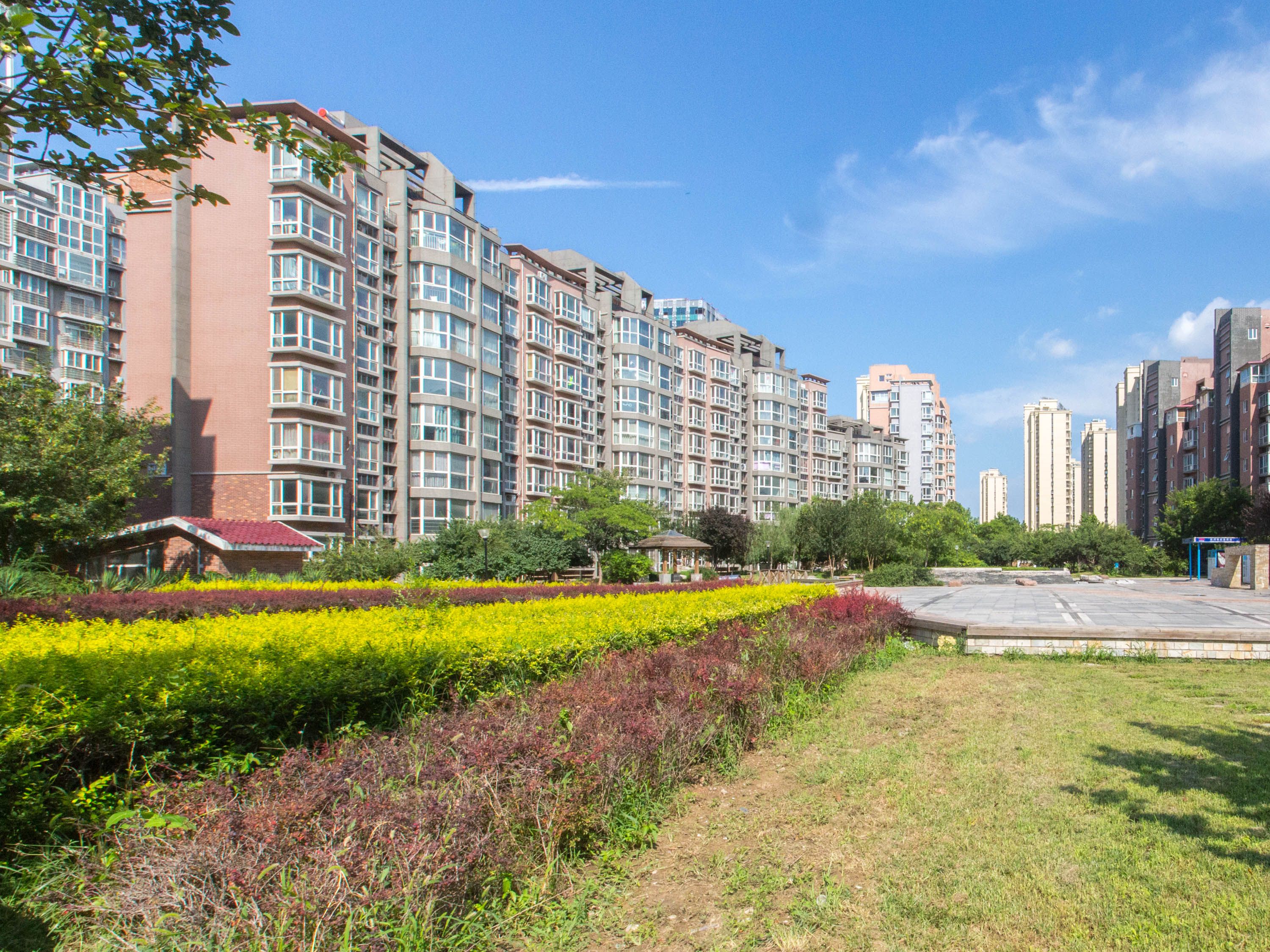 颐瑞东里161号楼1层1单元102