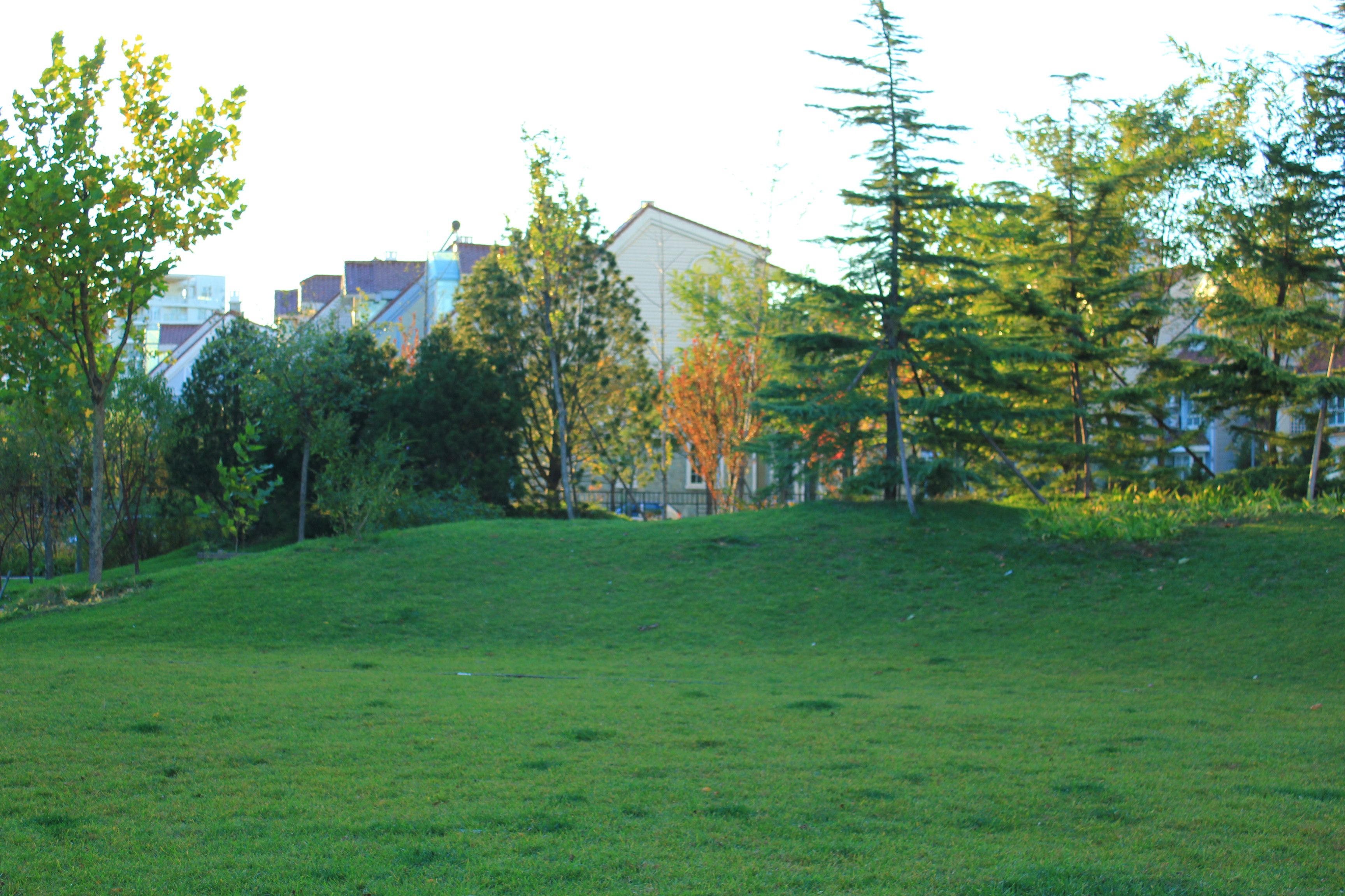 东领鉴筑5号楼11层五单元1101号