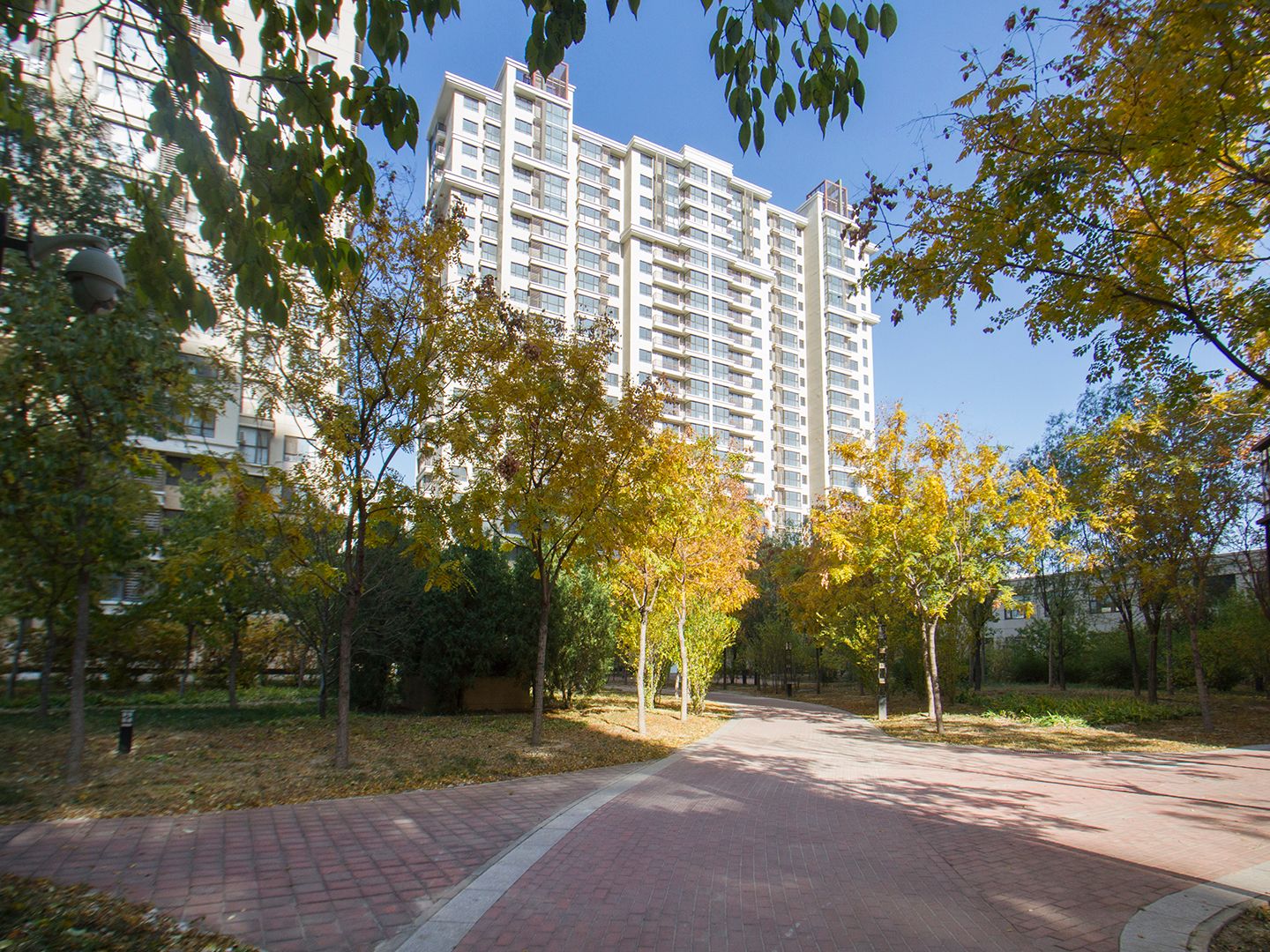 站前巴黎 360号楼4层141号