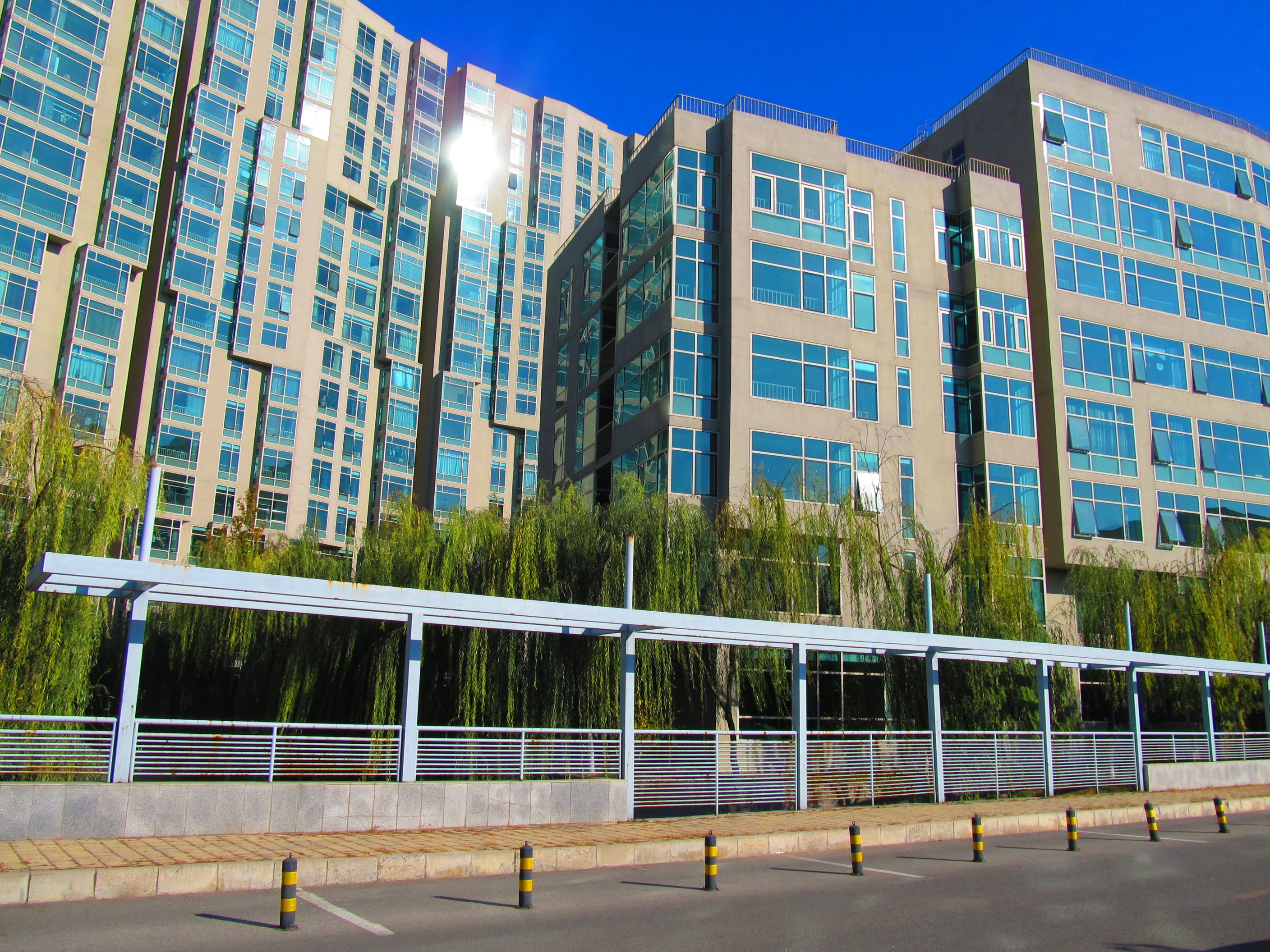 大成南里二区10号楼8层1单元803