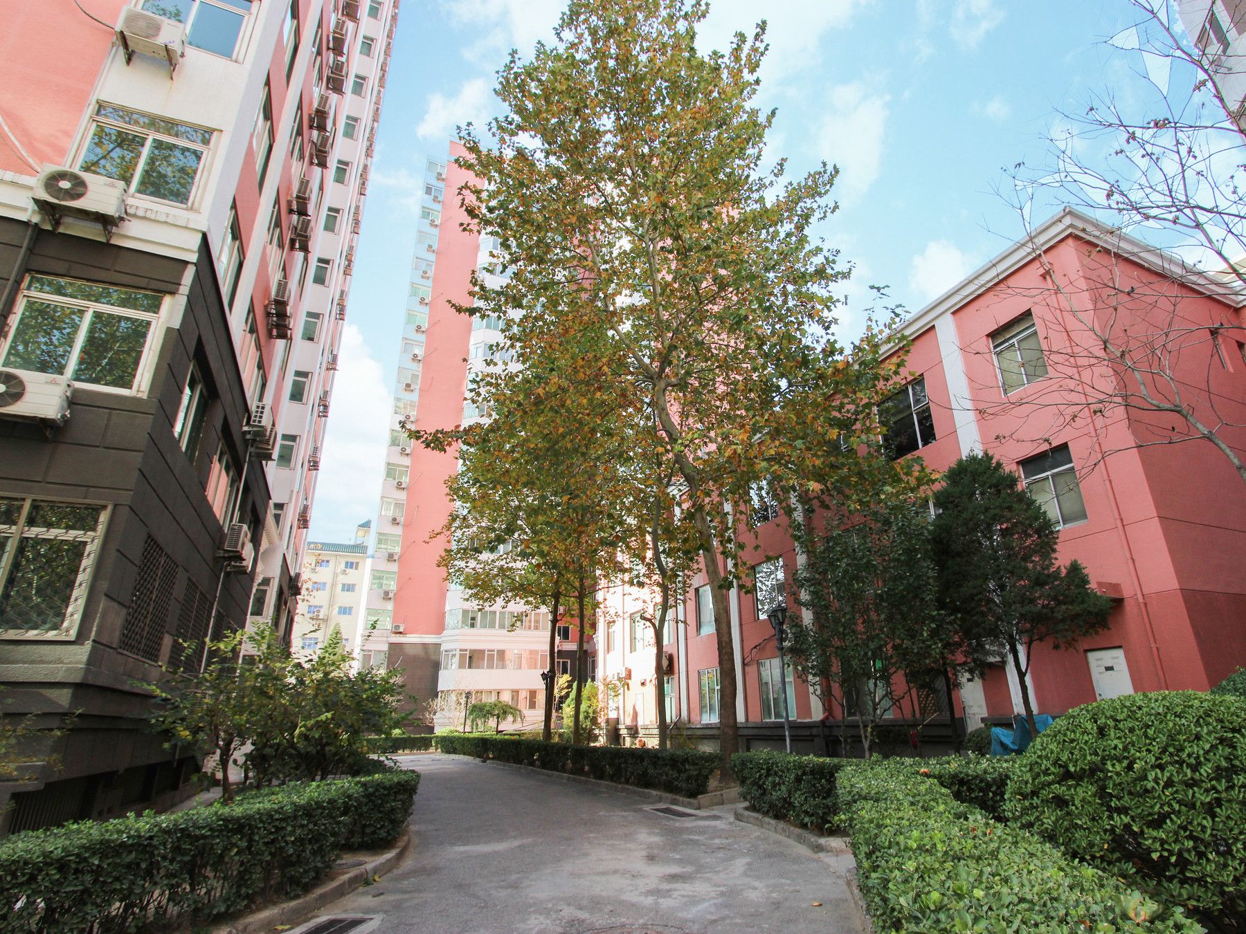 幸福一村西里9号楼4门102室住宅