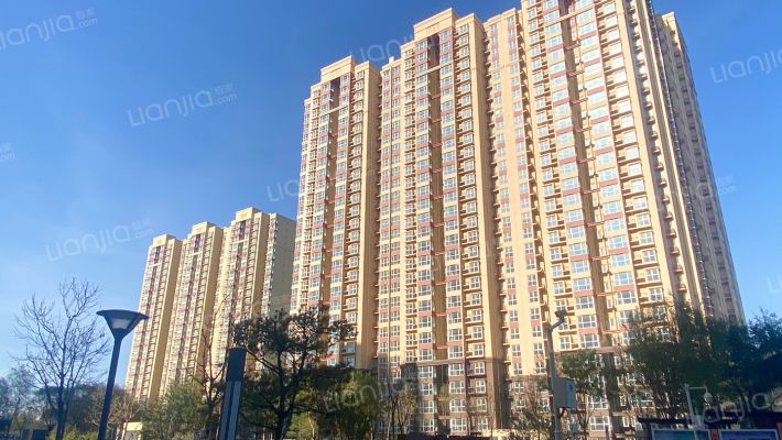 天达路2号院1号楼11层1103