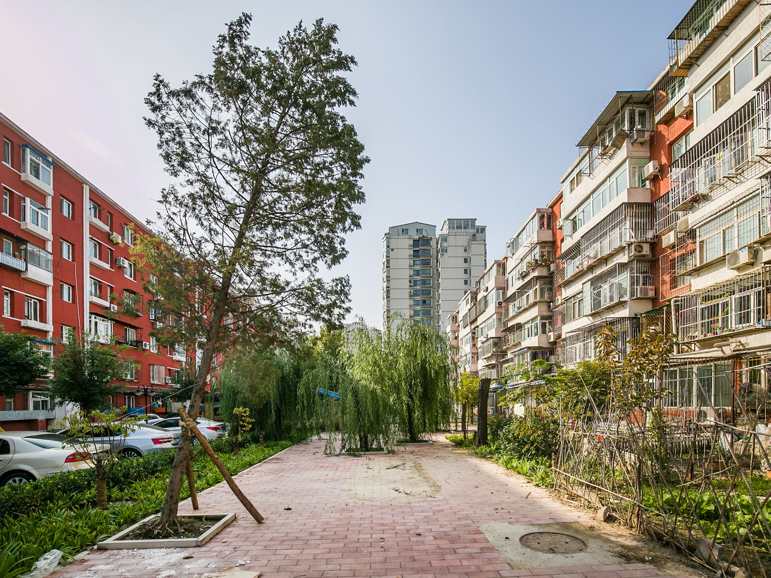 双榆树北里 11号楼2层1门203号