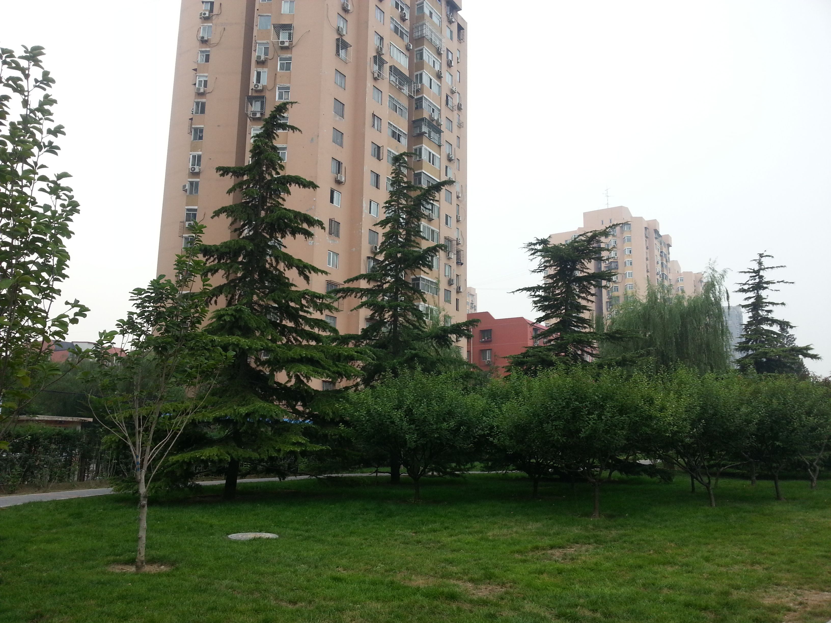 翠林一里1号楼4层