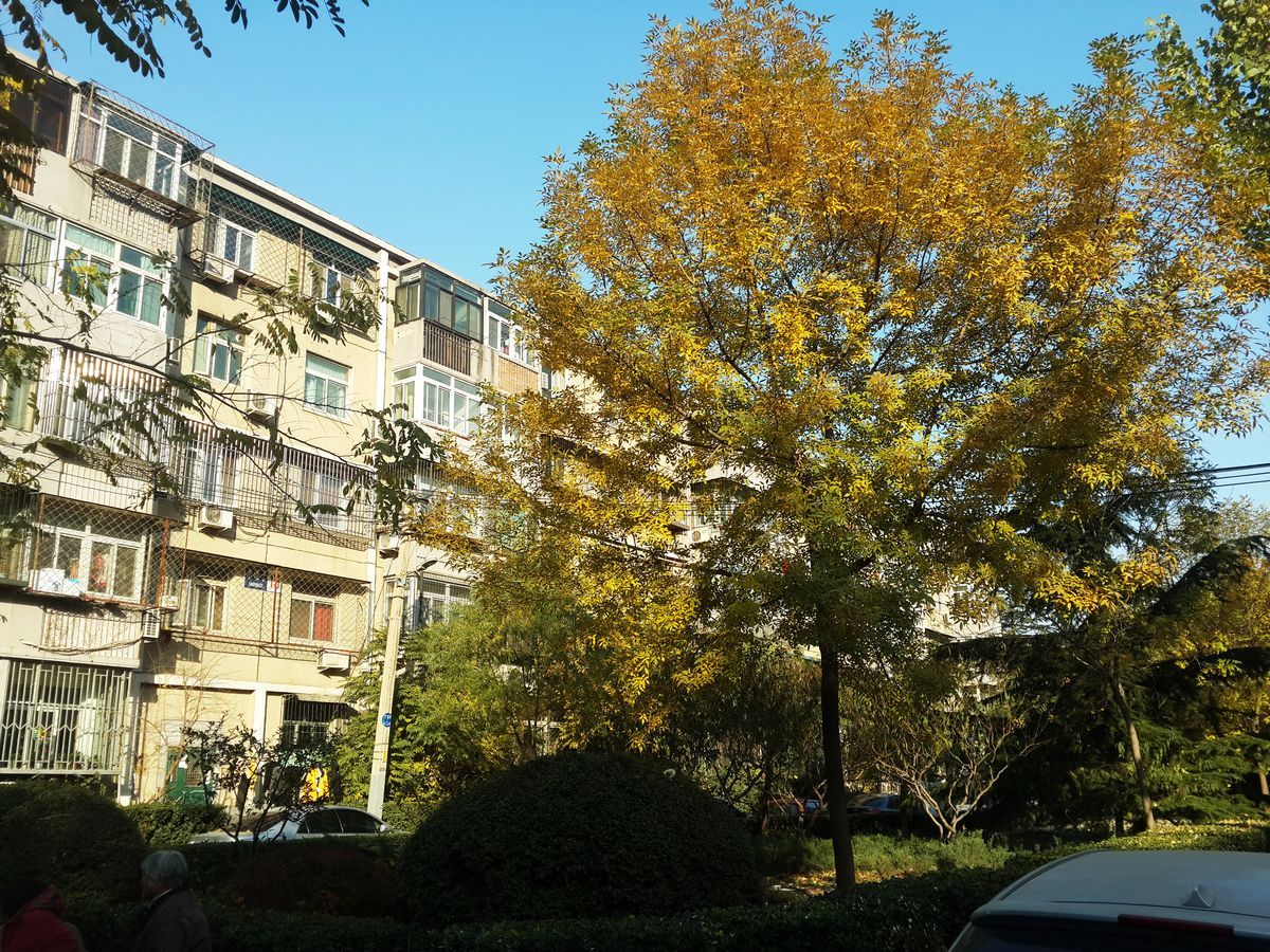 水碓子西里13号楼1层104