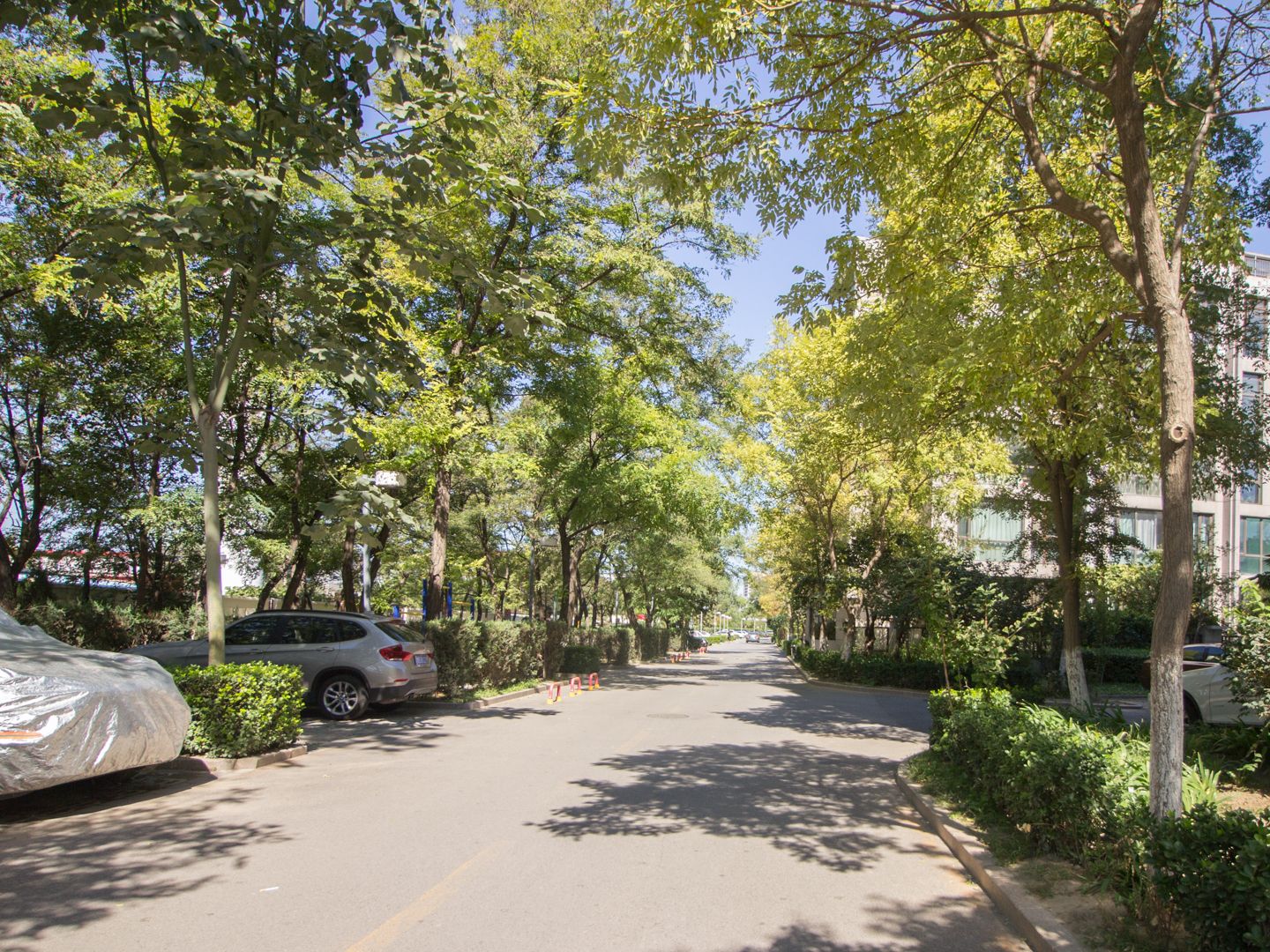 京城雅居 6号楼6B601号