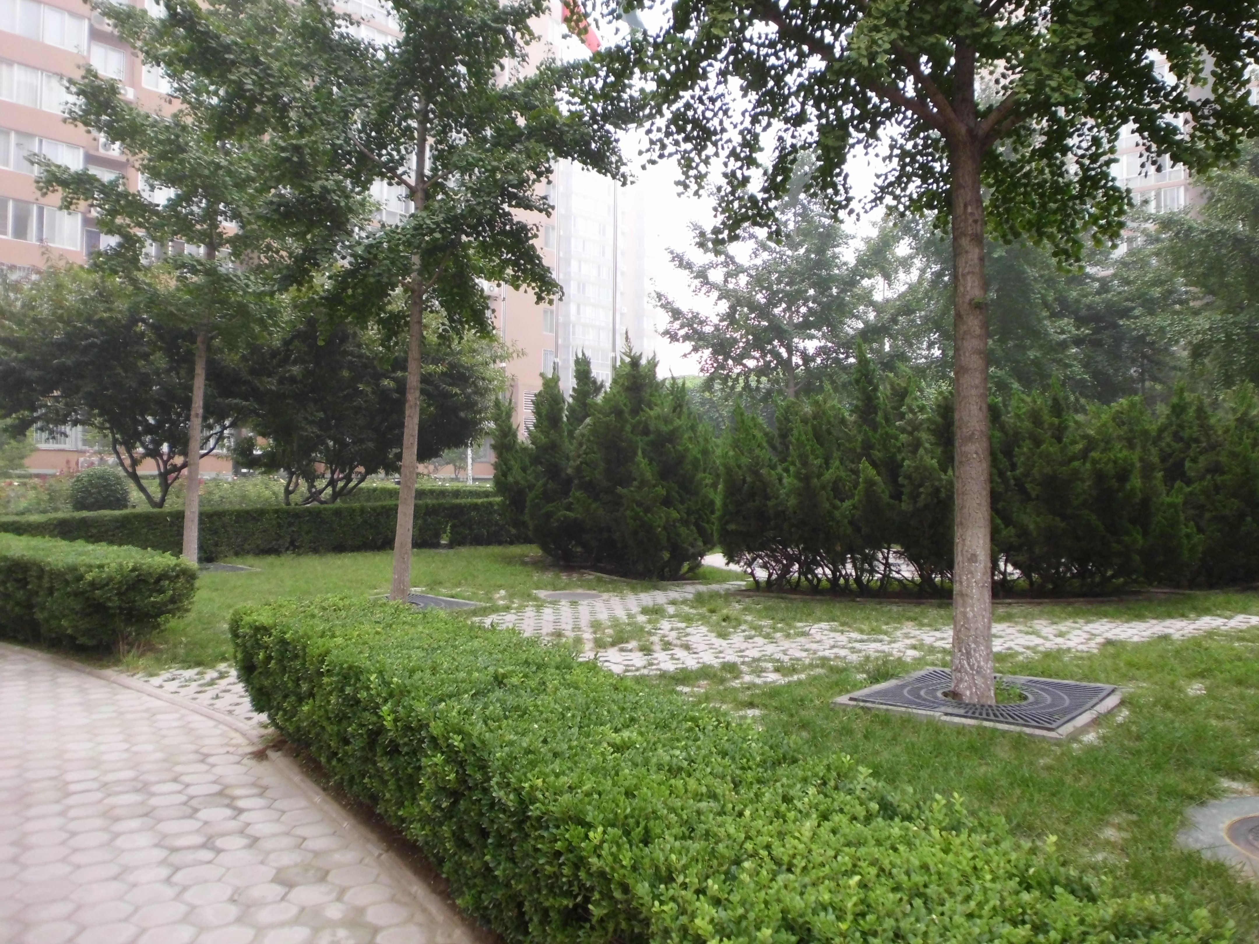 康乐里6号楼12层1205