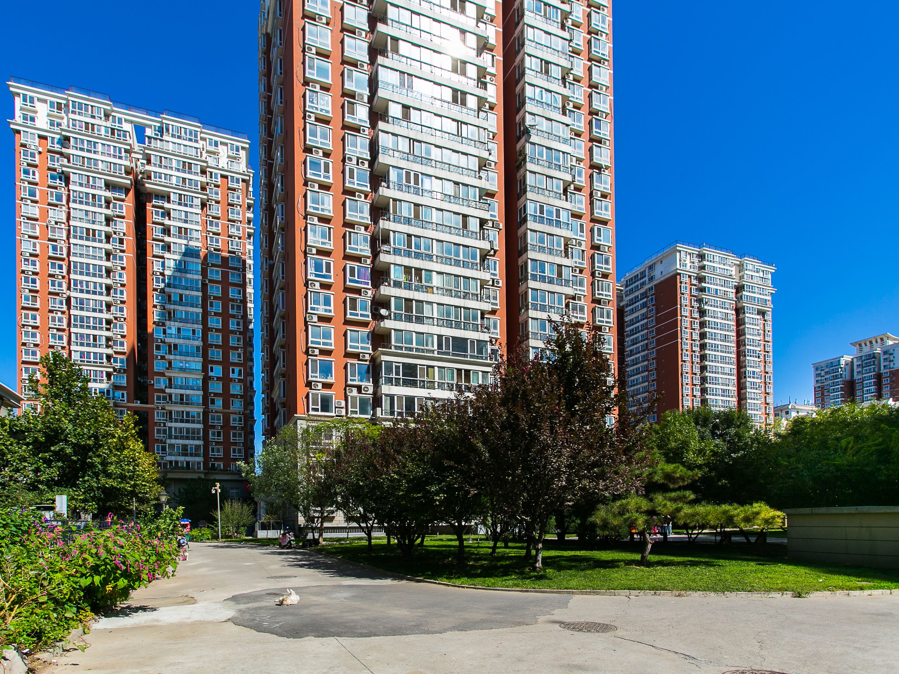 明日嘉园11号楼28层2805号