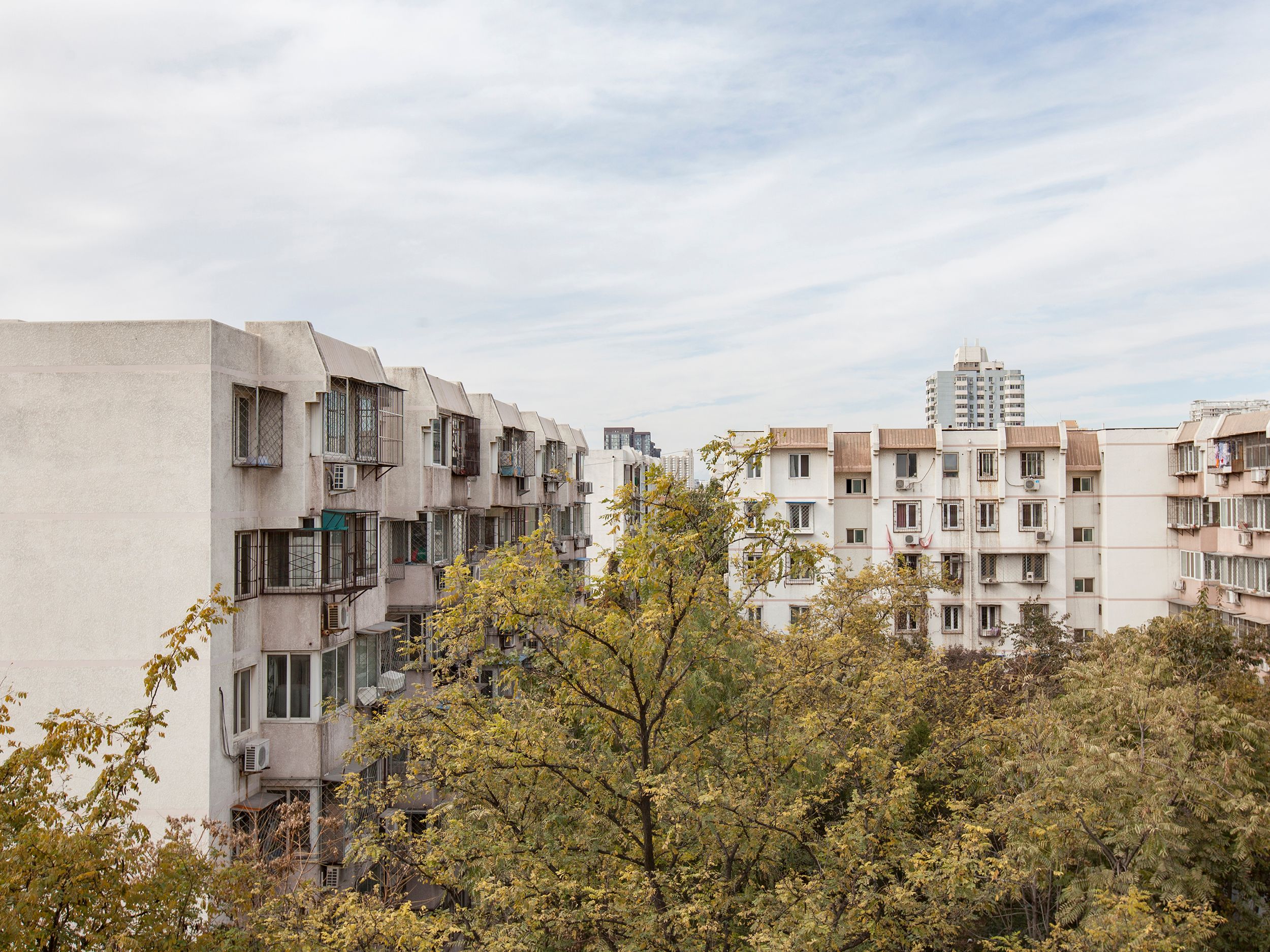 石榴园南里小区10号楼9层9034号