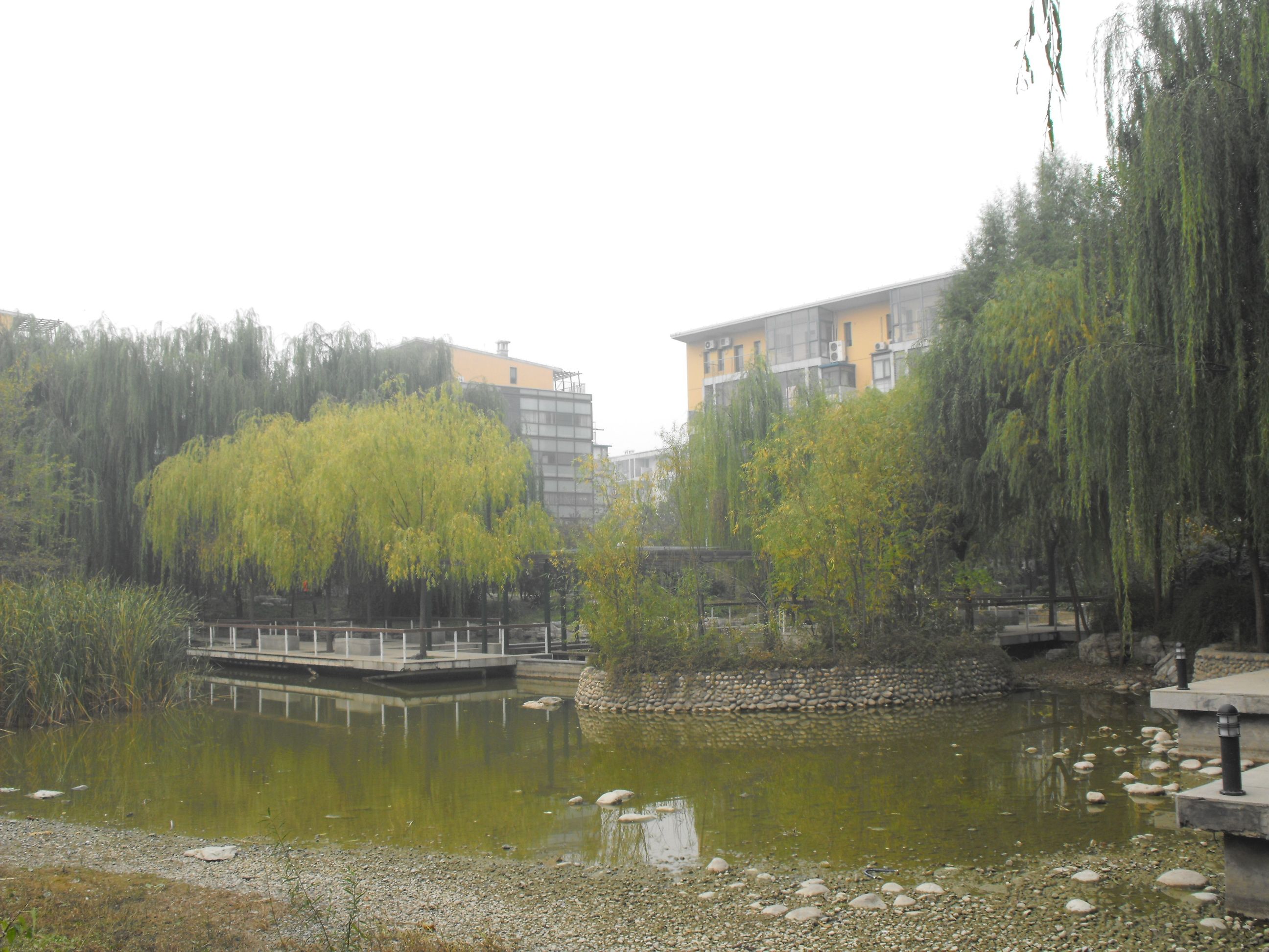 天赐良园东三期A区 16号楼532号