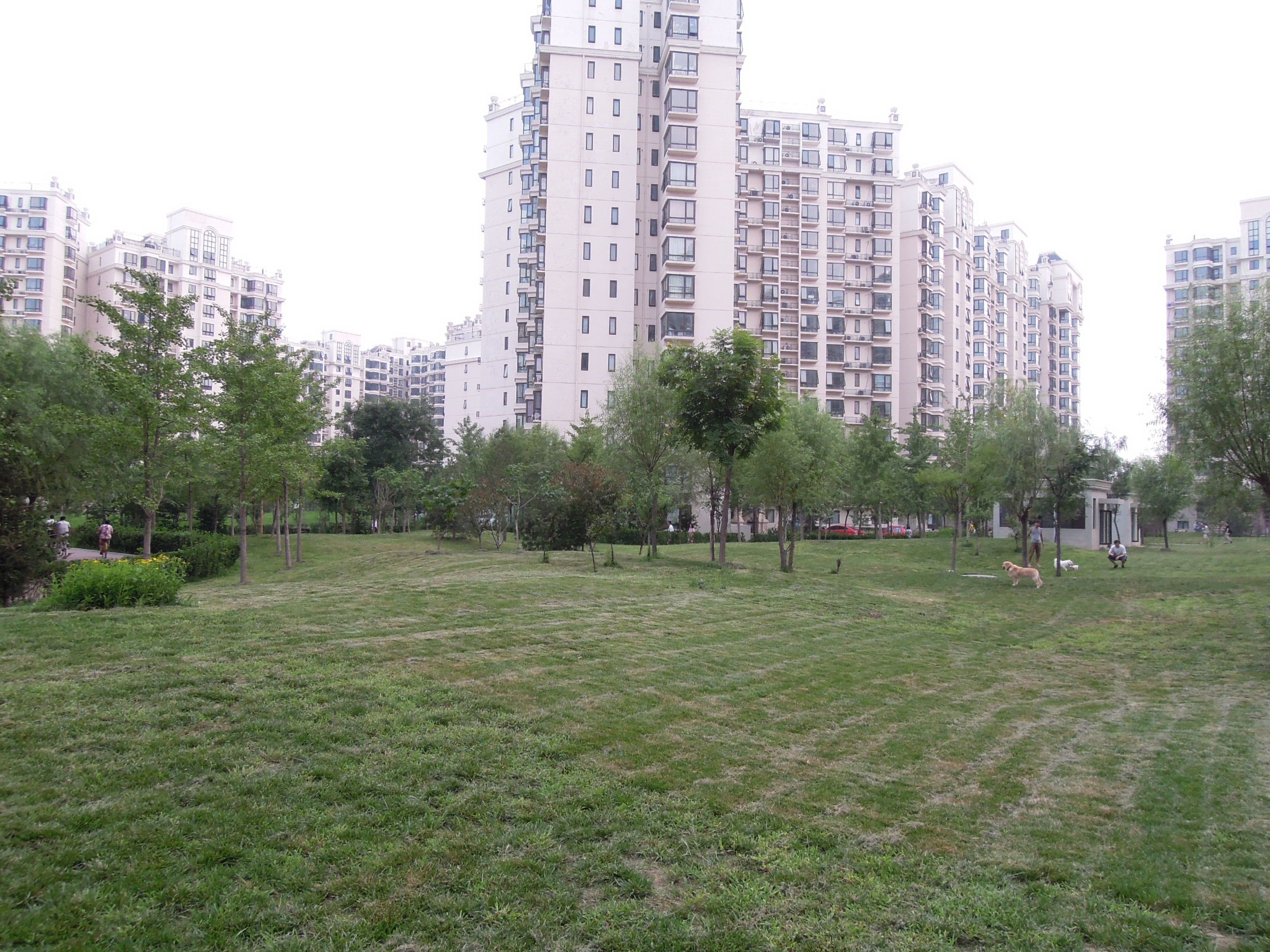 景盛北一街16号215号楼14层2单元1402