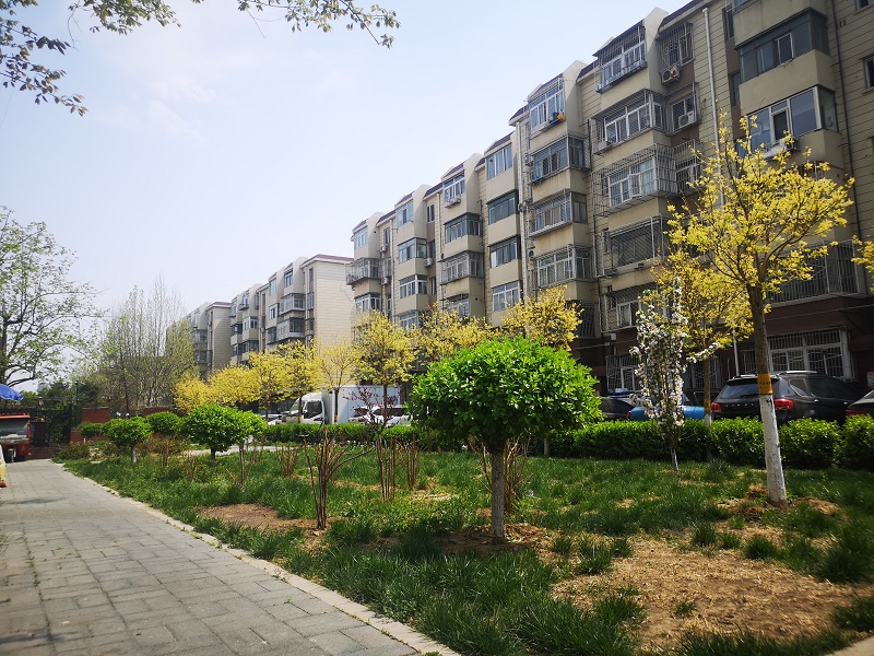 东潞苑21号楼2层2单元202号