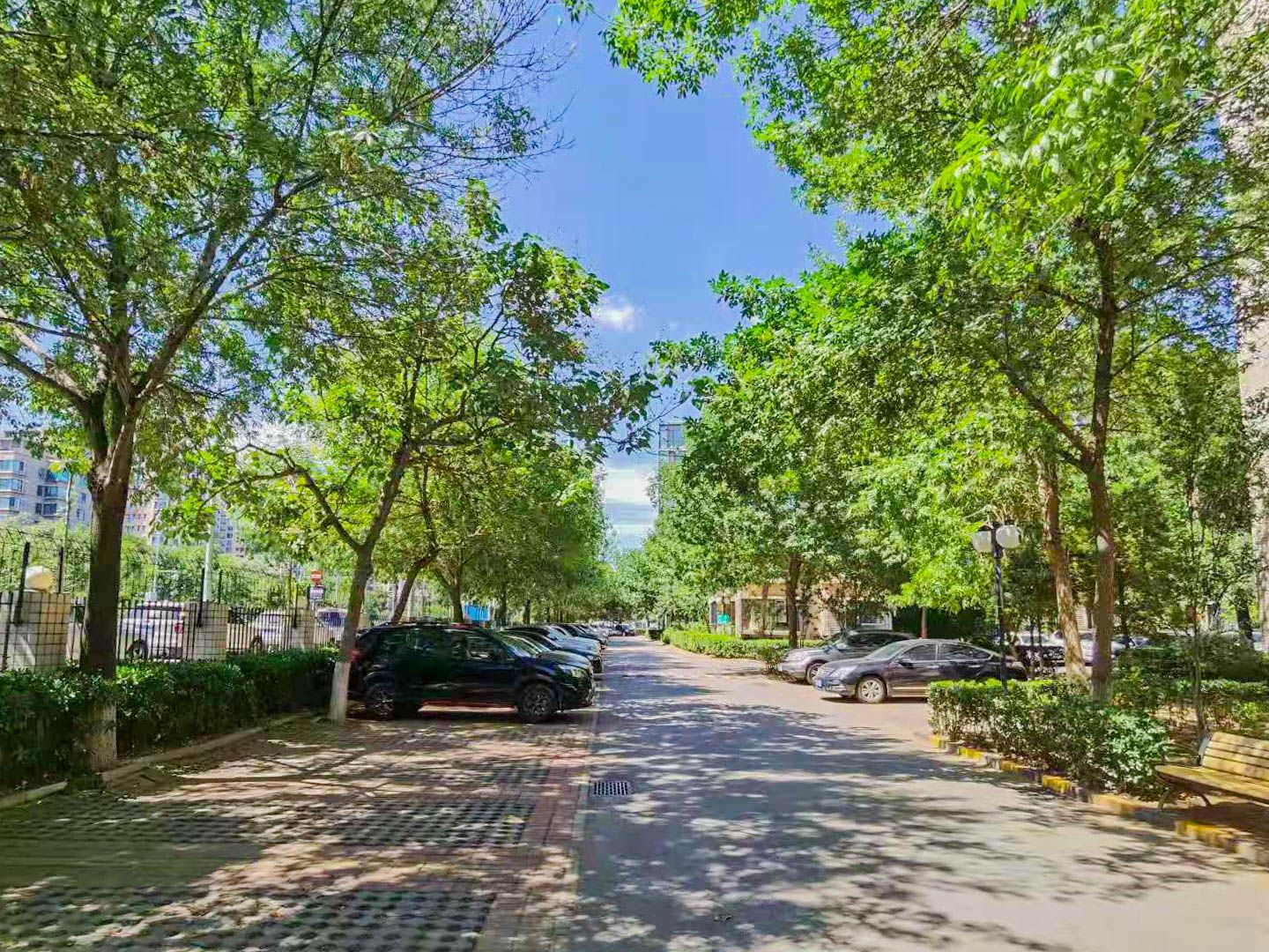 紫竹院路81号院1号楼9层903A