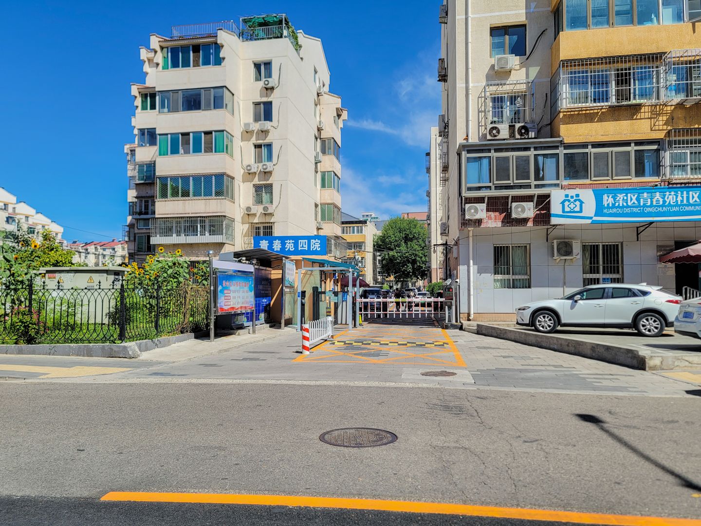青春苑西区4号楼1层6-102的房屋