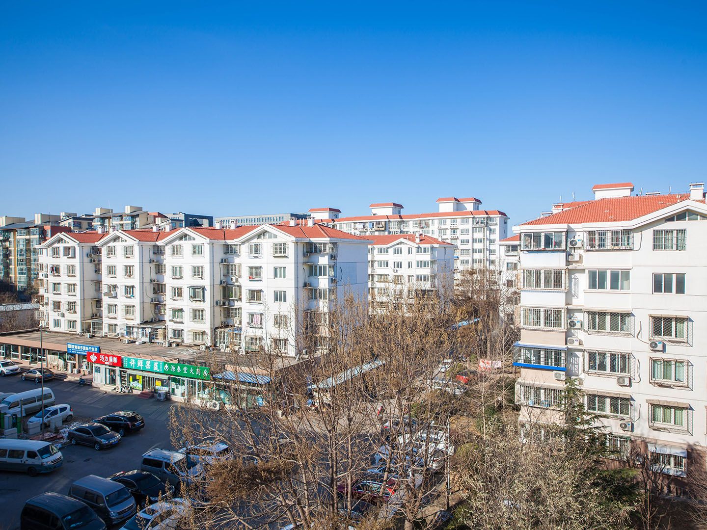 秋露园12号楼3层301号