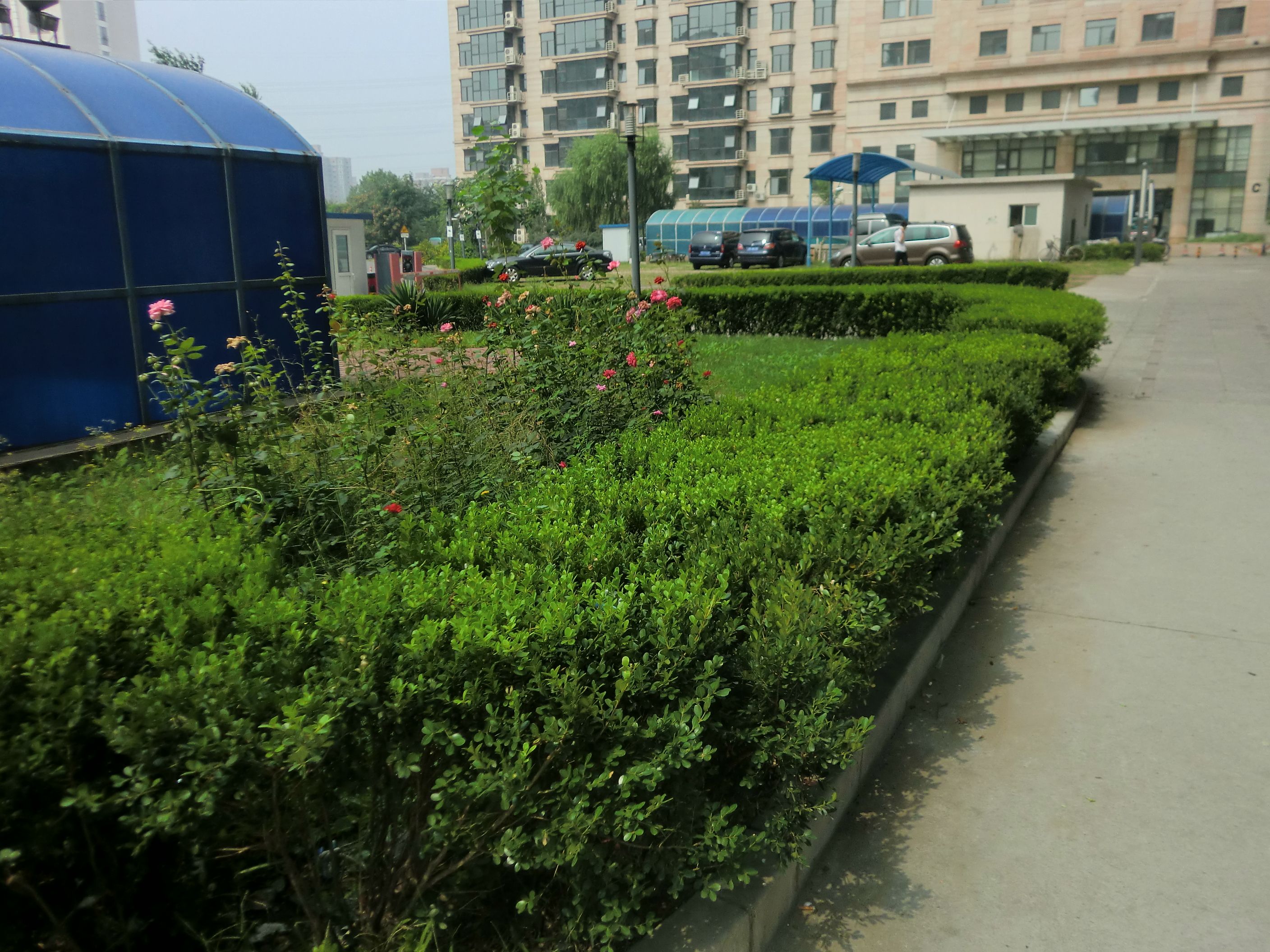 蓝靛厂南路25号共计38项房地产