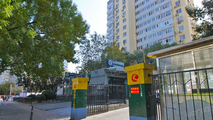 和平西街1号楼8层807号