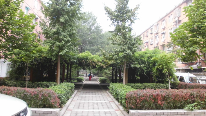 三庙街3号楼4层4门401号