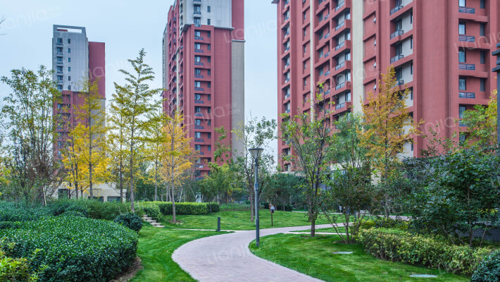 金地格林格林6号楼3层1单元303号